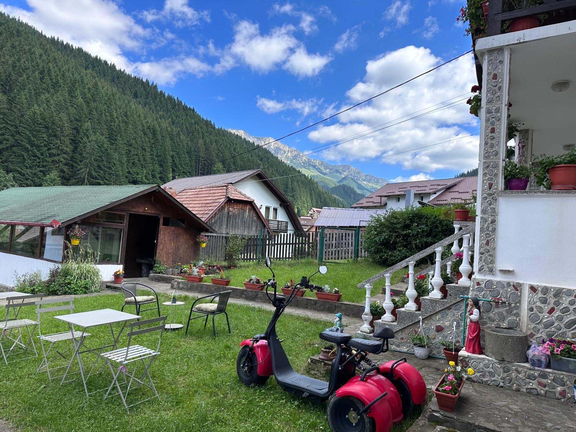 Pensiunea Rodica Moeciu De Sus Exterior photo