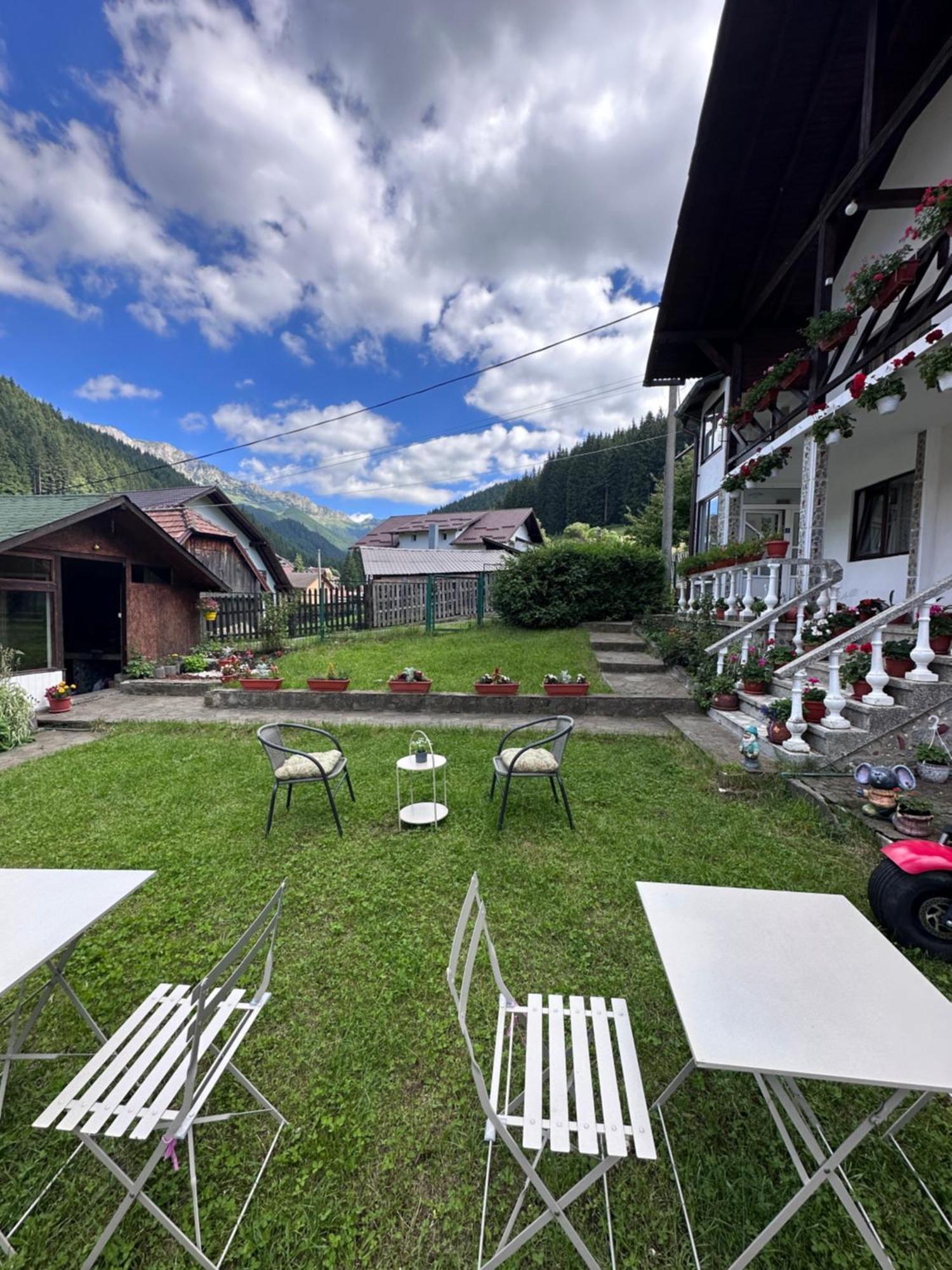 Pensiunea Rodica Moeciu De Sus Exterior photo